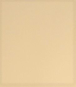 Brystol Jowisz B1 kremowy 220g 20k [mm:] 500x700