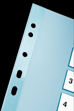 Przekładka numeryczna Esselte Mylar kartonowe A4 mix kolorów 160g 10k 1-10 (100161)