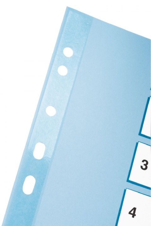 Przekładka numeryczna Mylar kartonowe A4 mix kolorów 160g 10k 1-10 Esselte (100161)