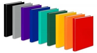 Segregator ringowy A4 25mm pomarańczowy VauPe (067/16)