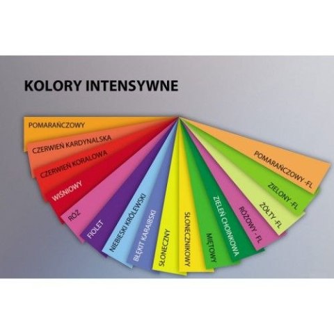 Papier kolorowy kolorowy A4 zielony fluorescencyjny 80g Trophee (xca42975)