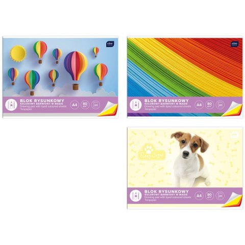 Blok rysunkowy bloki A4 kolorowy 80g 20k [mm:] 210x297 Interdruk (BLRK)