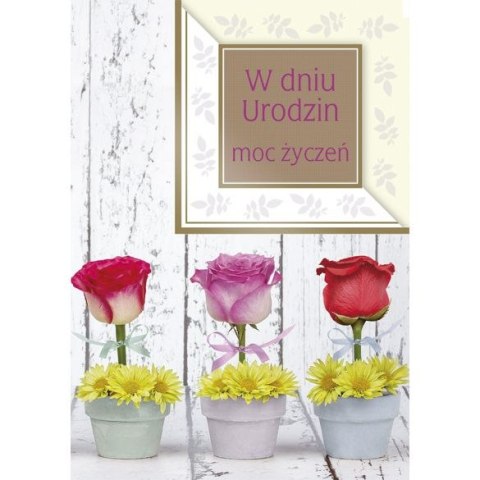 Kartka urodzinowa wycinana Pol-Mak z możliwością ustawienia cyfr B6 (B6S_URPA) Kartka urodzinowa wycinana Pol-Mak z możliwością ustawienia cyfr B6 (B6S_URPA)