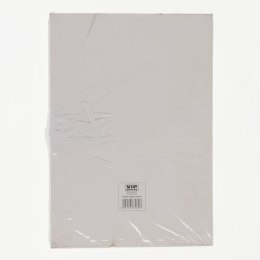 Teczka kartonowa wiązana Dzg Unipap biała kolor: biały