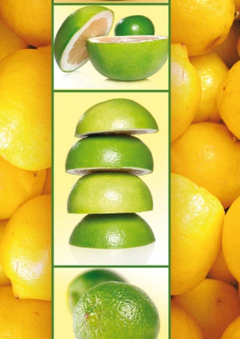 Brulion A6 64k. krata Kreska