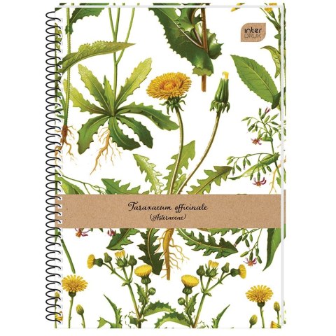 Kołozeszyt (kołonotatnik) A5 100k. 70g linia Interdruk (KOŁOZA5100L)