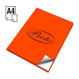 Etykieta samoprzylepna Protos fluo A4 - pomarańczowy