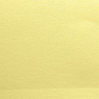 Papier ozdobny (wizytówkowy) A4 Gładki kremowy 100g Protos