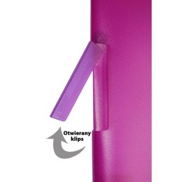Skoroszyt PP Titanum z klipem A4 różowy mat półprzezroczysty (SKTPI)