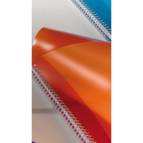 Kołozeszyt (kołonotatnik) My Colours A4 90k. 90g krata Oxford (100101864)