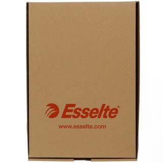 Teczka zawieszkowa A4 standardowe niebieski karton 212g Esselte (90311)