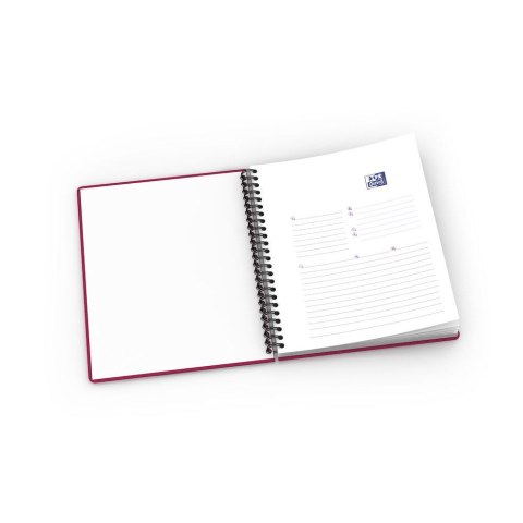 Kołozeszyt (kołonotatnik) Beauty A5+ 60k. 90g krata Oxford (400040559)