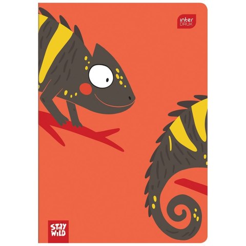 Zeszyt A5 32k. 70g krata [mm:] 148x210 Interdruk (ZE32KFK)