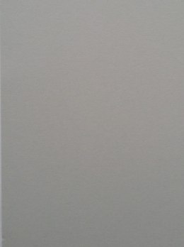 Brystol Jowisz szary 220g 20k [mm:] 500x700