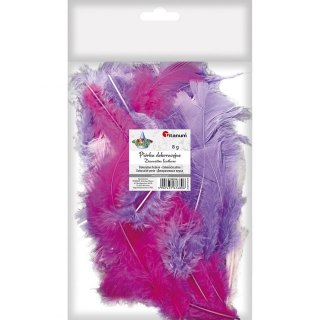 Piórka Craft-Fun Series mix Titanum (16079G)