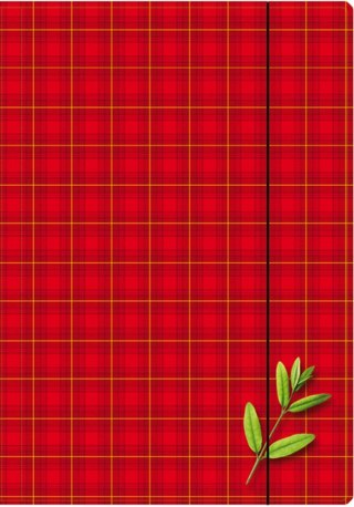 Teczka kartonowa na gumkę A4 mix Kreska