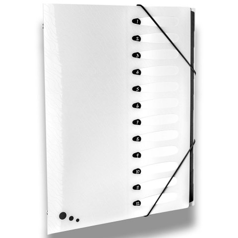 Teczka z przegródkami Art Pop A4 kolor: mix 12 przegródek Elba (400058483)