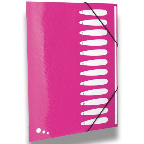 Teczka z przegródkami Art Pop A4 kolor: mix 12 przegródek Elba (400058483)