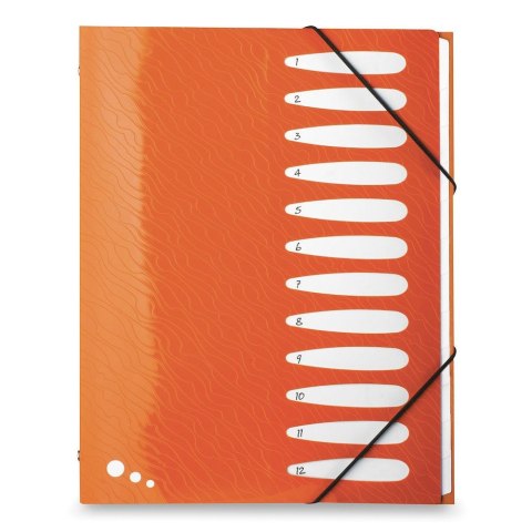 Teczka z przegródkami Art Pop A4 kolor: mix 12 przegródek Elba (400058483)