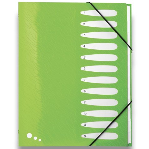 Teczka z przegródkami Art Pop A4 kolor: mix 12 przegródek Elba (400058483)