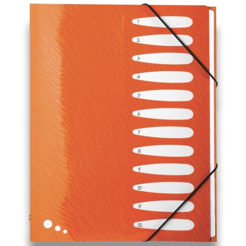 Teczka z przegródkami Art Pop A4 kolor: mix 12 przegródek Elba (400058483)