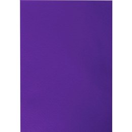 Filc Titanum Craft-Fun Series A4 kolor: fioletowy 10 ark. (058)