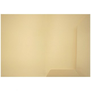 Teczka ofertowa grafitowa A4 kolor: grafitowy Bigo (1038)