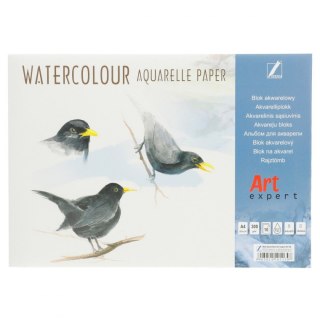 Blok artystyczny akwarelowy A4 300g 10k Kreska