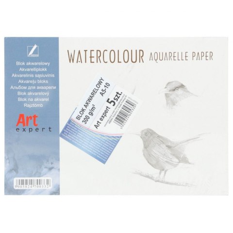Blok artystyczny akwarelowy A5 300g 10k Kreska