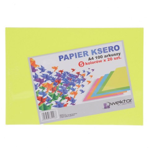 Papier kolorowy A4 mix Wektor (5906395351466)