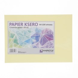 Papier kolorowy Wektor pastel A4 - mix 80g