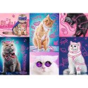 Puzzle Trefl Super cats Neon Color Line 1000 el. (10581)