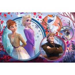 Puzzle Trefl Disney Frozen Ii Siostrzana przygoda 160 el. (15374)