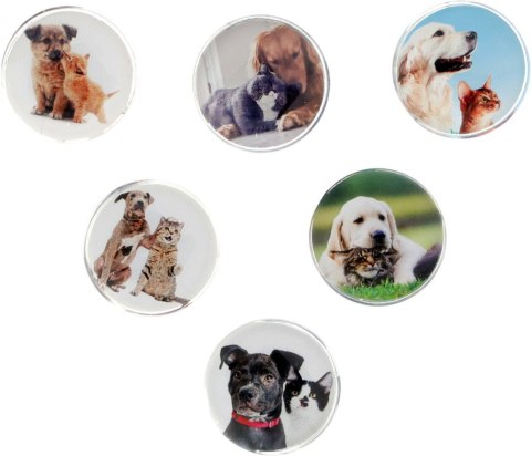 Magnes Fun&Joy PIES I KOT okrągły mix śr. 30mm 6 sztuk Magnes Fun&Joy PIES I KOT okrągły mix śr. 30mm 6 sztuk