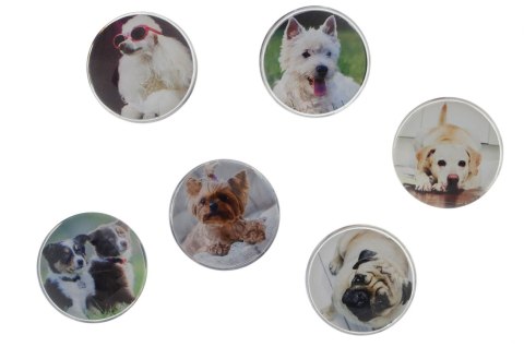 Magnes Fun&Joy PIES okrągły mix śr. 30mm 6 sztuk Magnes Fun&Joy PIES okrągły mix śr. 30mm 6 sztuk