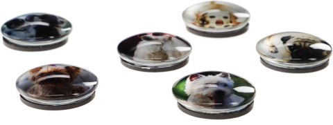 Magnes Fun&Joy PIES okrągły mix śr. 30mm 6 sztuk Magnes Fun&Joy PIES okrągły mix śr. 30mm 6 sztuk