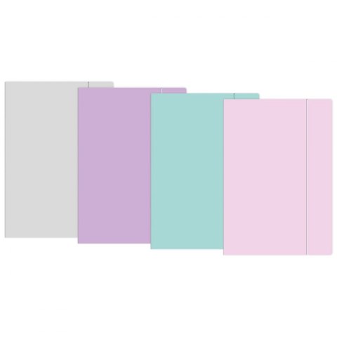 Teczka kartonowa na gumkę pastel HOLOGRAM A4+ mix Interdruk Teczka kartonowa na gumkę pastel HOLOGRAM A4+ mix Interdruk