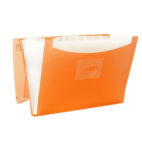 Teczka z przegródkami Urban A4+ kolor: mix 13 przegródek [mm:] 250x330 Oxford (400147018)