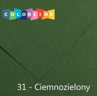 Brystol Colorline 31 zielony ciemny 150g 10k [mm:] 500x650 Canson (31074S056)