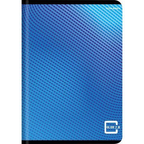 Zeszyt colors mix A5 80k. 70g krata Top 2000 (400169185)