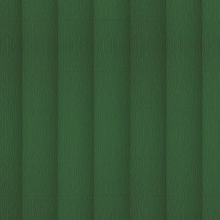 Bibuła marszczona ciemnozielony 500mm x 2000mm TOP-2000 (400153921)