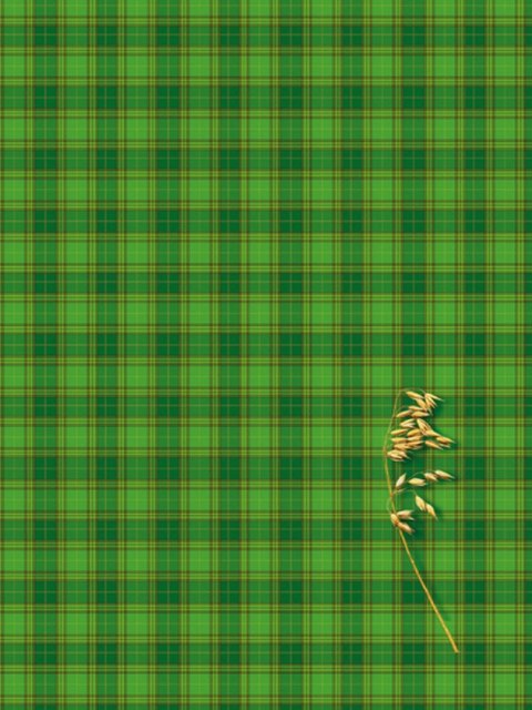 Brulion A4 200k. krata Kreska