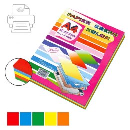 Papier kolorowy Protos A4 - mix 160g