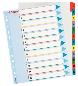 Przekładka numeryczna MYLAR A4 mix kolorów 160g 12k 1-12 Esselte (100209)