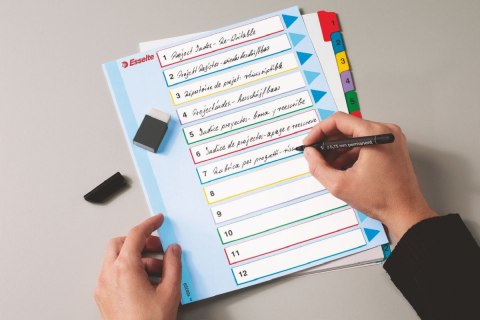 Przekładka numeryczna Mylar maxi A4 mix kolorów 160g 31k 1-31 Esselte (100210)