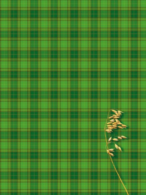 Brulion A4 300k. krata Kreska