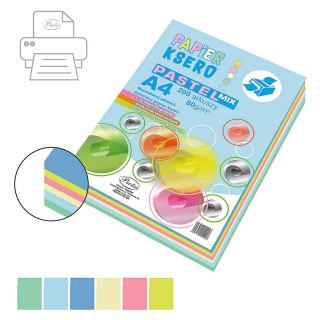 Papier kolorowy A4 mix 200k. 80g Protos