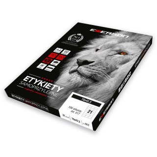 Etykieta samoprzylepna A4 70x42,3 biały [mm:] 70x42,3 Emerson (eta4070x423w)