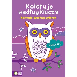 Książeczka edukacyjna Koloruję według klucza. Koloruję według cyferek Zielona Sowa