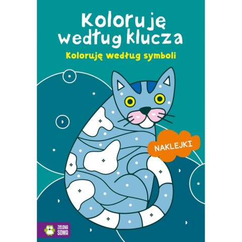 Książeczka edukacyjna Koloruję według klucza. Koloruję według symboli Zielona Sowa